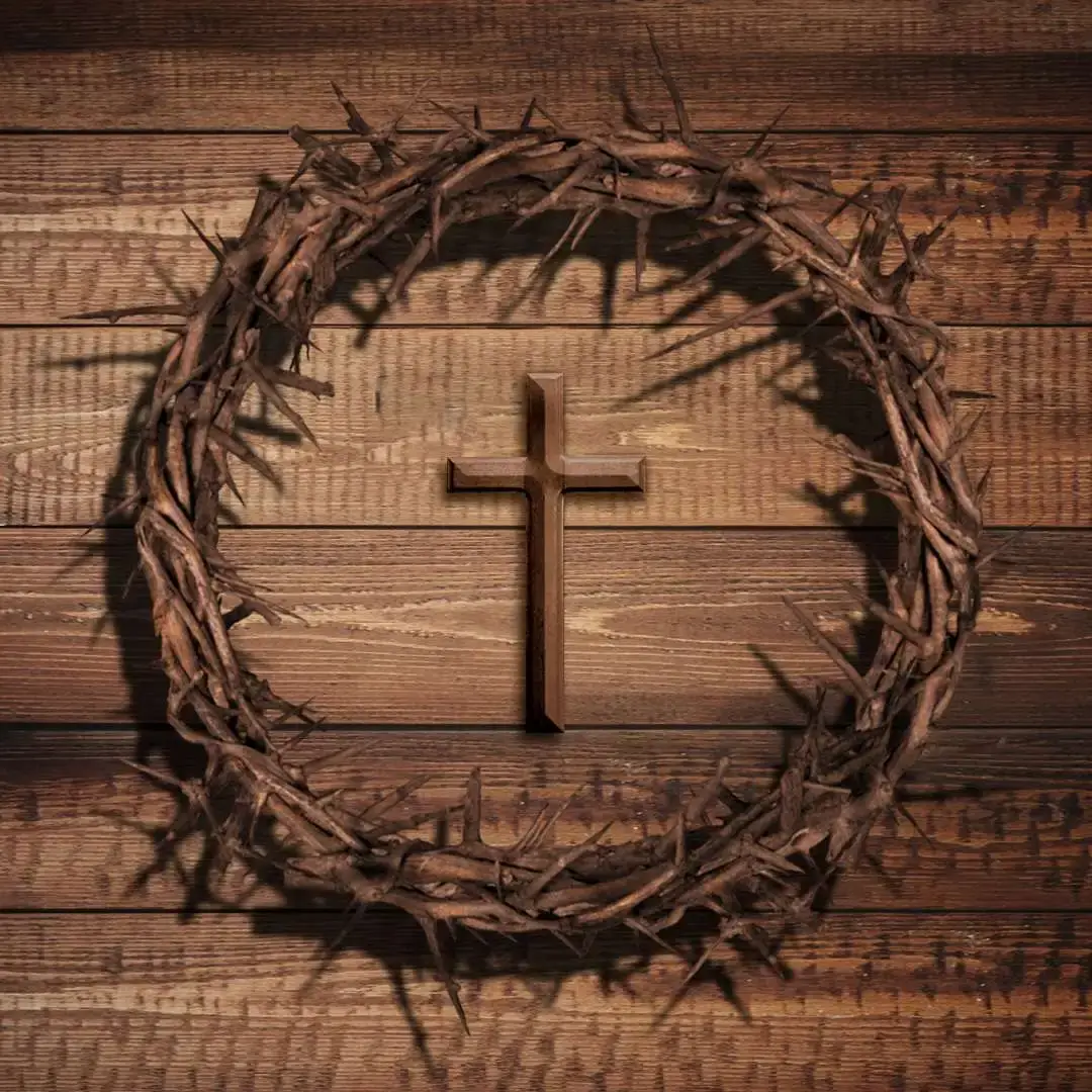 Quiz Verdadeiro ou Falso Sobre Jesus